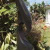 Abstract Shona stone sculpture Kingfisher by Nesbert Mukomberanwa front left