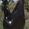Abstract bird sculpture Relaxing Bird by Nesbert Mukomberanwa front left