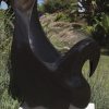 Abstract bird sculpture Relaxing Bird by Nesbert Mukomberanwa back right