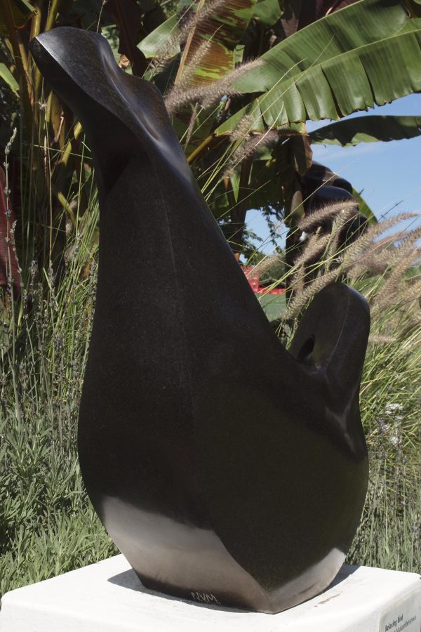 Relaxing Bird - Image 6