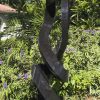 Large abstract Shona stone sculpture - Protecting Bride by Charles Kowo back right