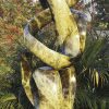 Large abstract stone sculpture - Treasures by Willard Bopoto left side