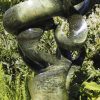 Abstract garden stone sculpture - Growing Force by Willard Bopoto back left