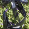 Abstract Shona stone sculpture - Together Forever by Tonderai Sowa back left